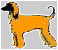 Pet Photography Screen Saver 2