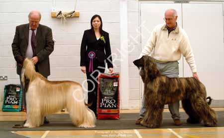 Best Dog & Res Best Dog