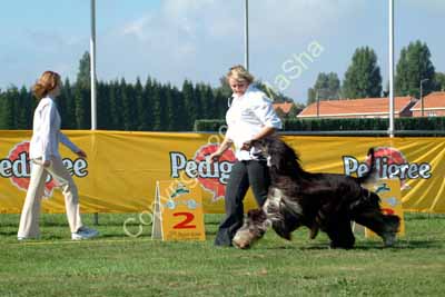 Akim moving 1