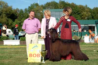 BOB c