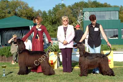 Best breeders A