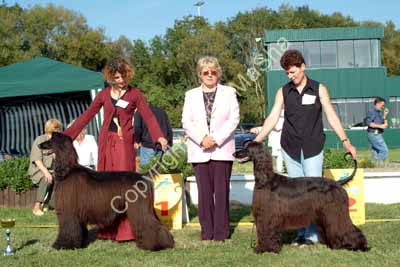 Best breeders B