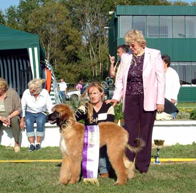 Best puppy 1a
