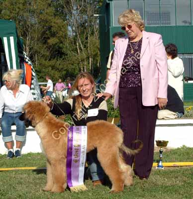 Best puppy 1b