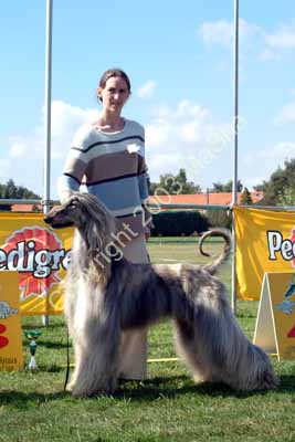 Breeders class - 4