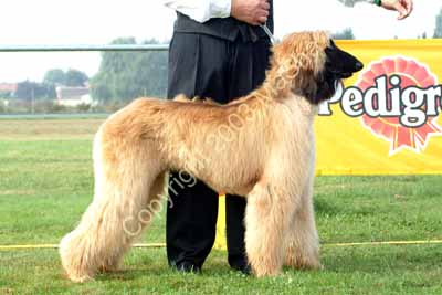 Junior male - 1