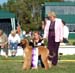 Best puppy 1a
