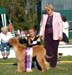 Best puppy 1b