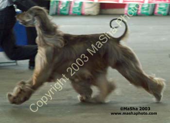 Xenos Joselito moving