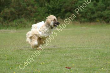 Monty-Man-5
