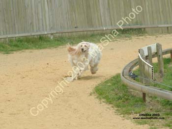 Racing-2