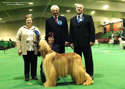 Best-Veteran-in-Show