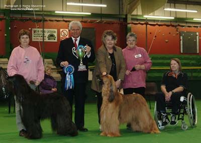 Trophy-for-Best-Veteran