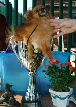 SAC-BIS-trophy-&-prize