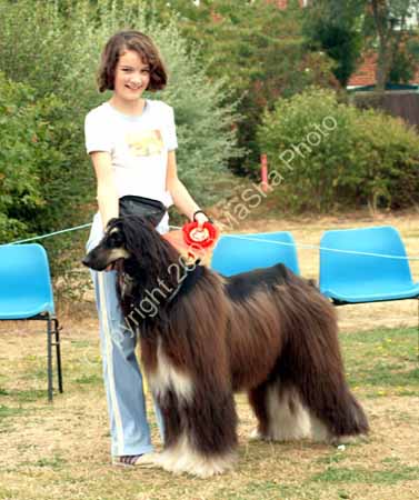 Best Junior Handler