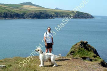 Welsh-holiday